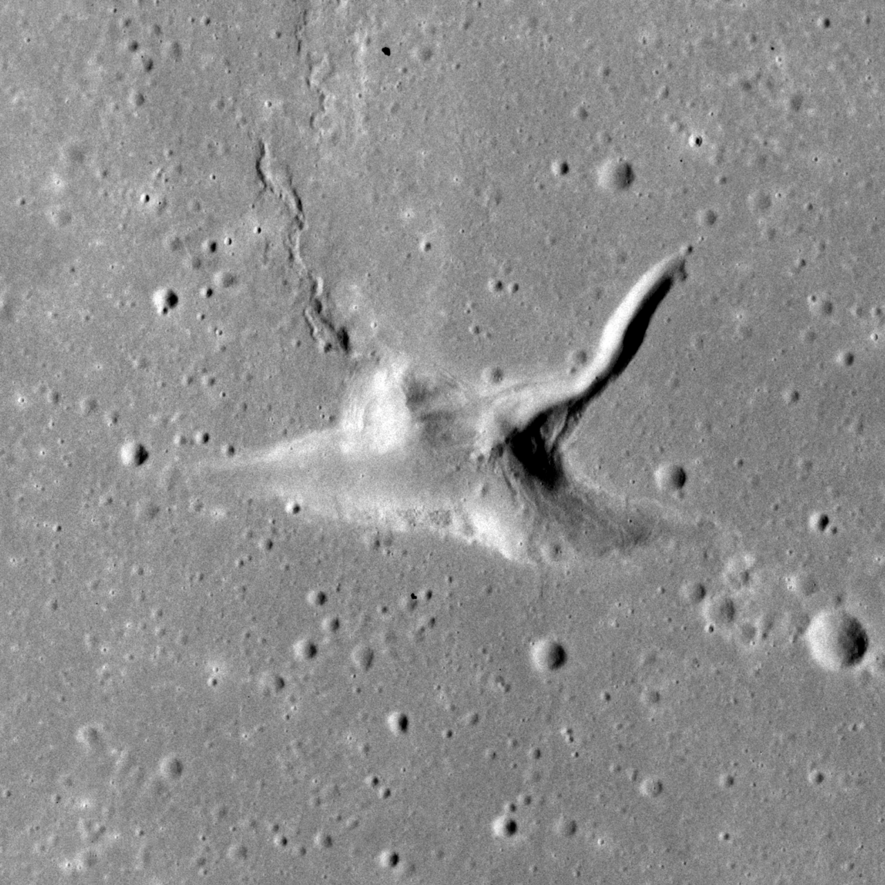 Aratus